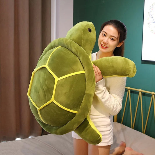 turtle toy - Gifts For Family Online