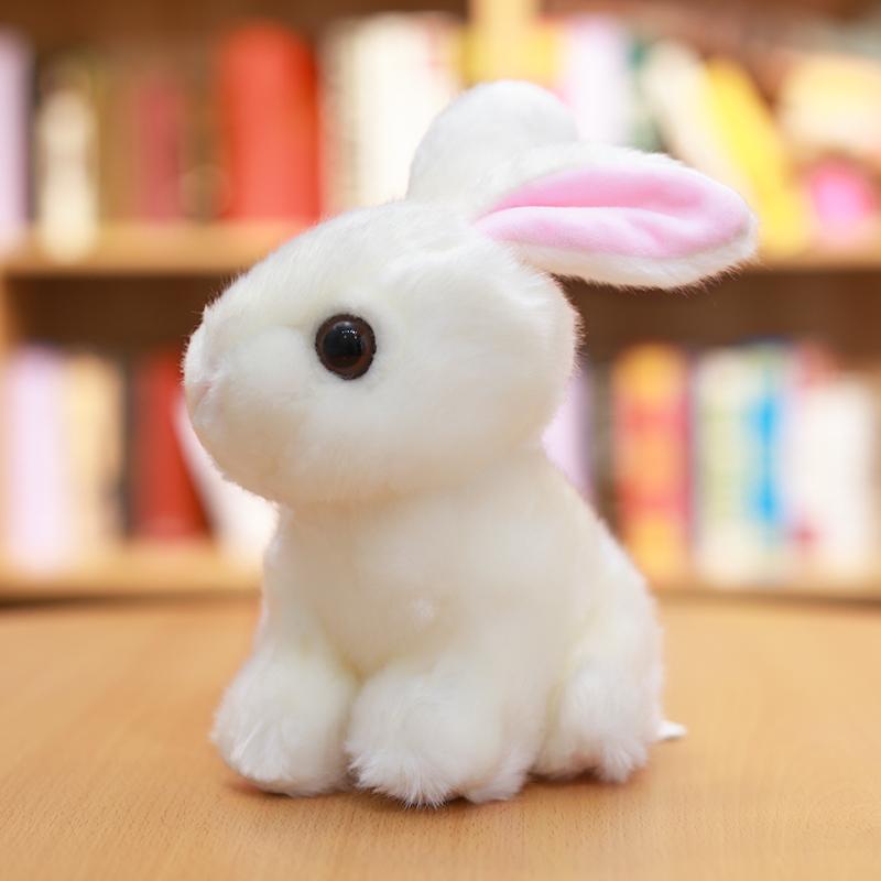 plush rabbit - Gifts For Family Online