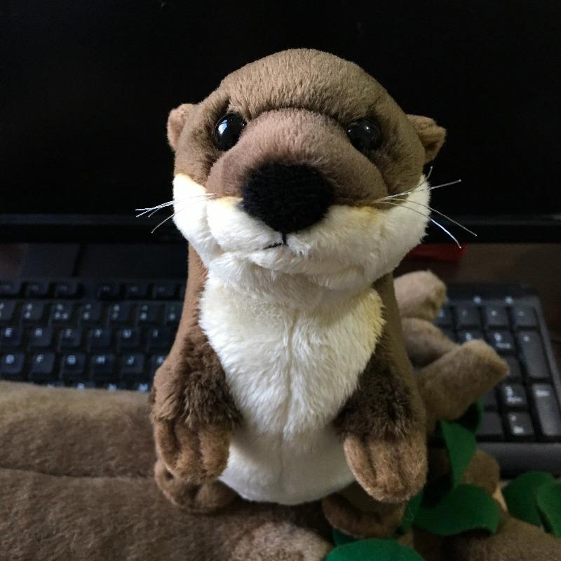 otter plush toy - Gifts For Family Online