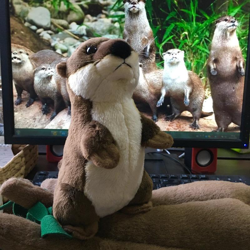 cute otter plush - Gifts For Family Online