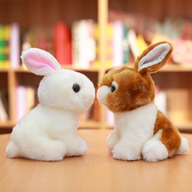 plush rabbit - Gifts For Family Online