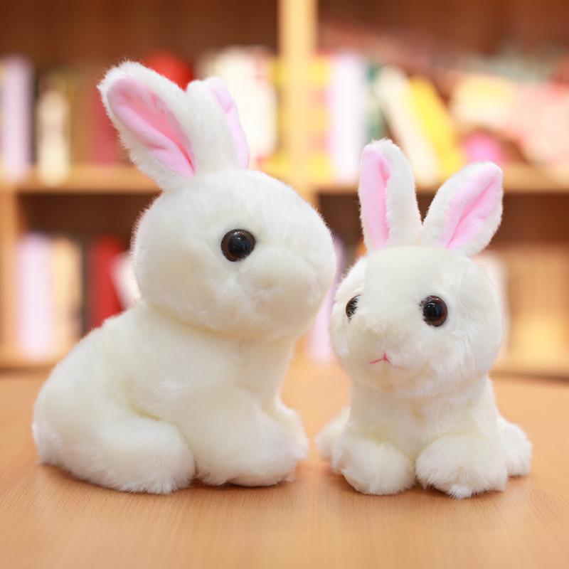 bunny plush toy - Gifts For Family Online