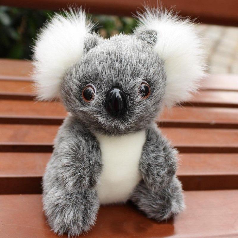 koala toy - Gifts For Family Online